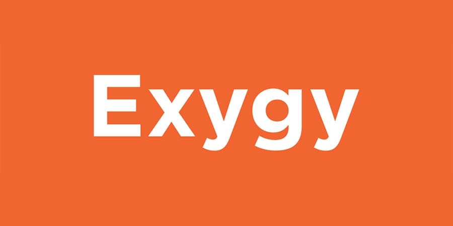 Exygy logo